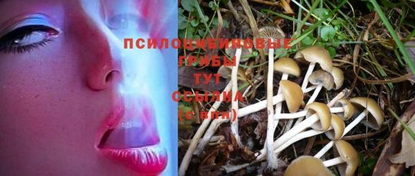 трава Бугульма